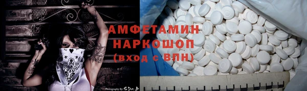 индика Грязи
