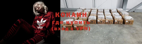 мдпв Пестово