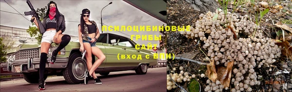 мдпв Пестово