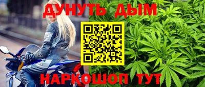 сатива Абинск