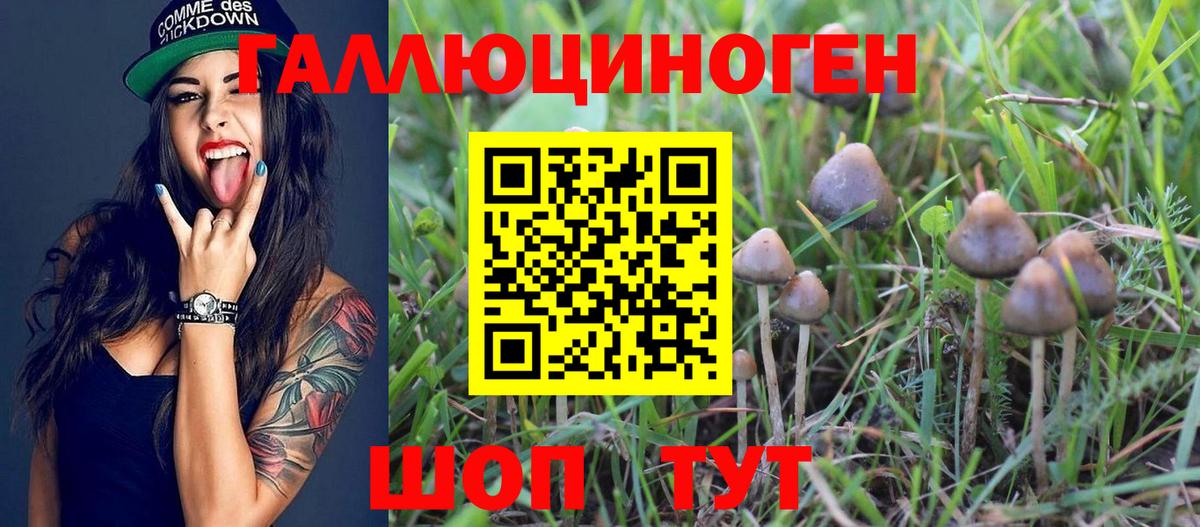 Псилоцибиновые грибы мицелий Алейск