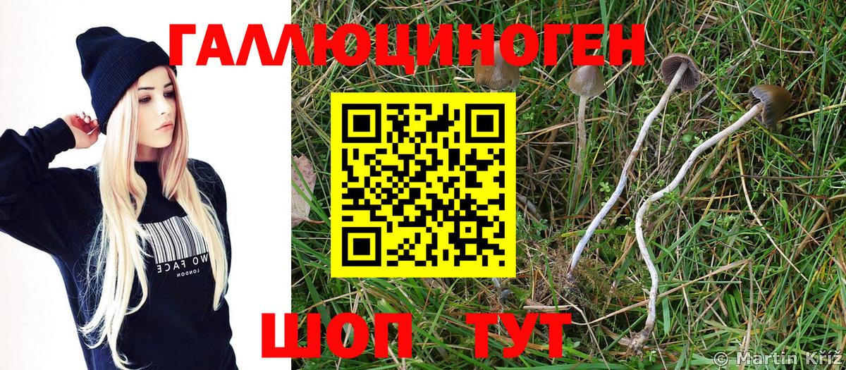 Галлюциногенные грибы GOLDEN TEACHER Алейск