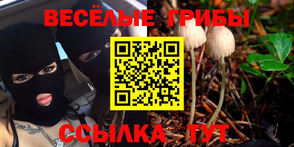 Псилоцибиновые грибы MAGIC MUSHROOMS  Вход с VPN  где найти наркотики  Алейск 