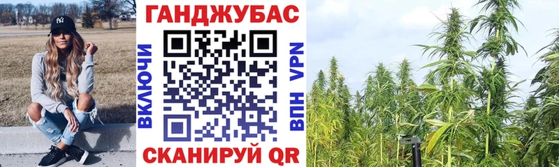 Бошки марихуана Amnesia  мега маркетплейс  Алейск 
