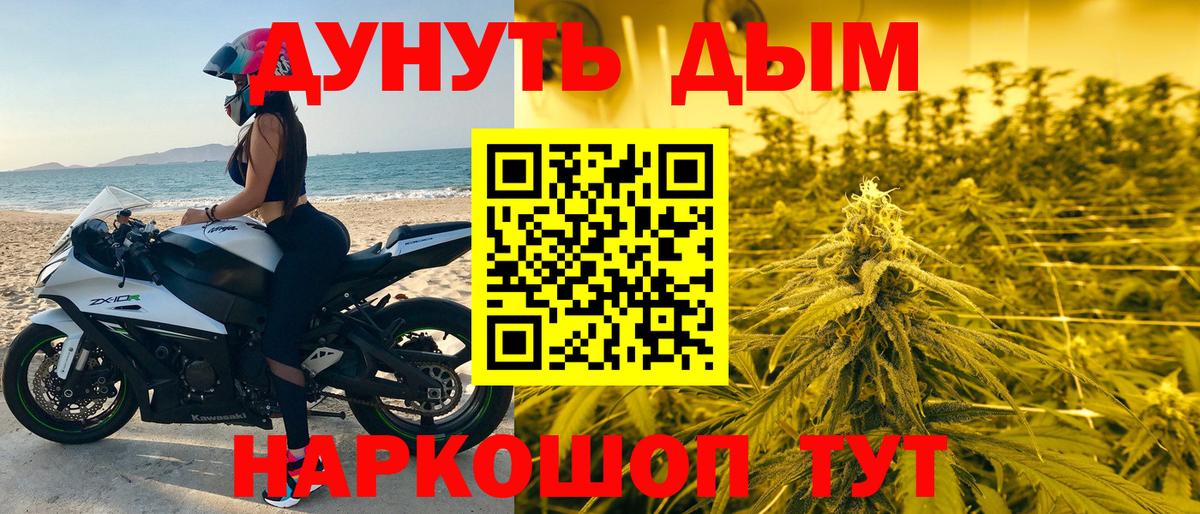 Каннабис SATIVA & INDICA  МАРИХУАНА сатива  Алейск  Каннабис гибрид  Марихуана Bruce Banner  Вход с VPN 